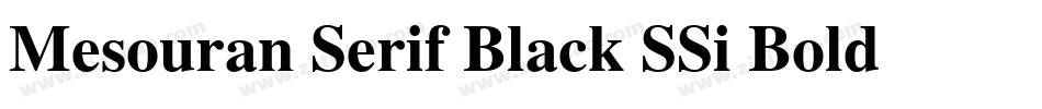 Mesouran Serif Black SSi Bold Italic字体转换